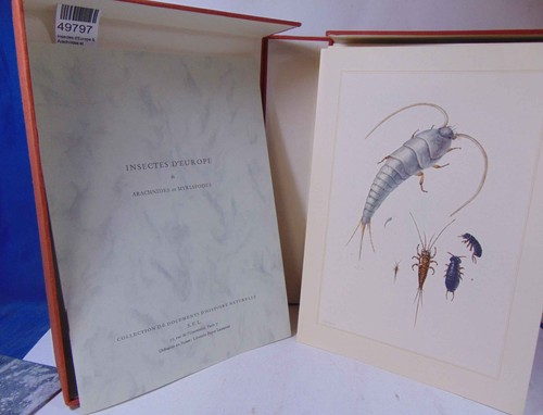 Insectes europe arachnides - insectes, &