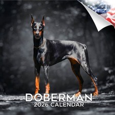 Doberman Dog Breed Calendar