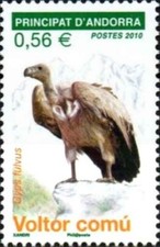 Timbre Oiseaux Rapaces