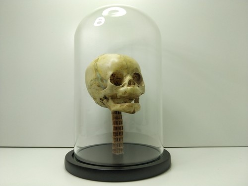 Petit crâne humain décoratif