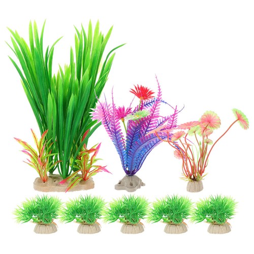 Pcs plantes pour aquarium - plantes,