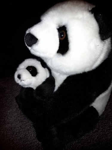 Peluche doudou panda - panda, son