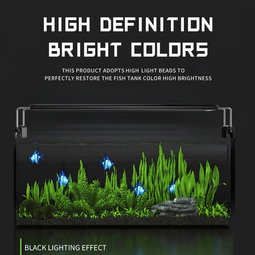 éclairage led aquarium - led,