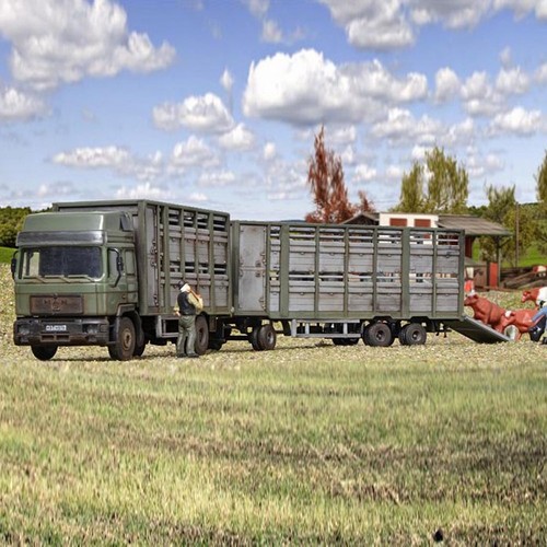 Camion man bétaillère - camion,