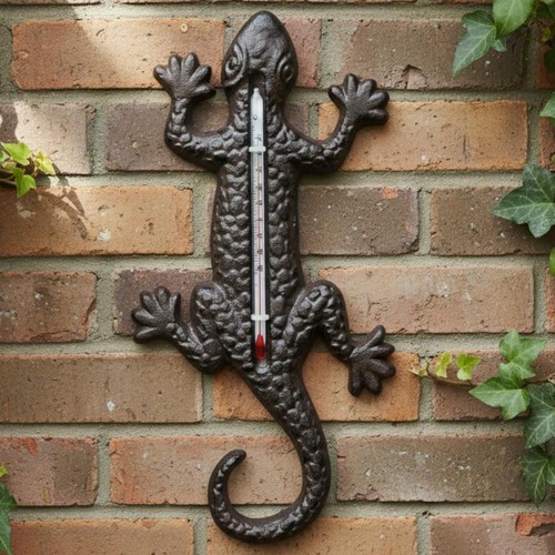 Thermomètre décoratif - thermomètre,