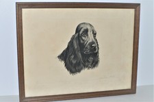 -ANCIENNE LITHOGRAPHIE CHIEN