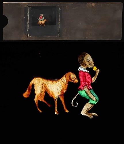 Chien singe plaque - singe,