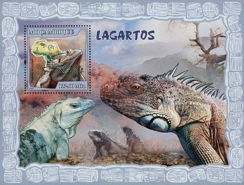 Lizards stamp pogona vitticeps - pogona,