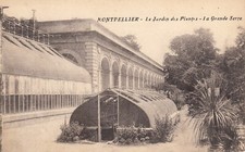 Antique postcard HERAULT