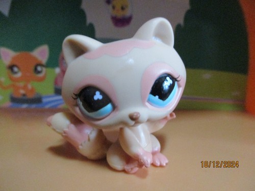 Petshop raccoon 669 - petshop, with