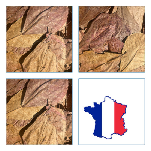 Catappa feuilles 15gr - ,