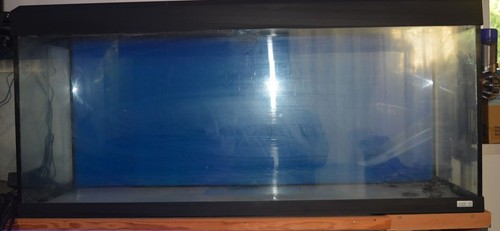 Aquarium fluval - aquarium,