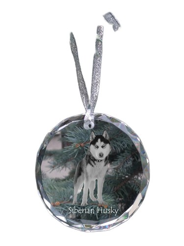 Siberian husky sphère de - -,