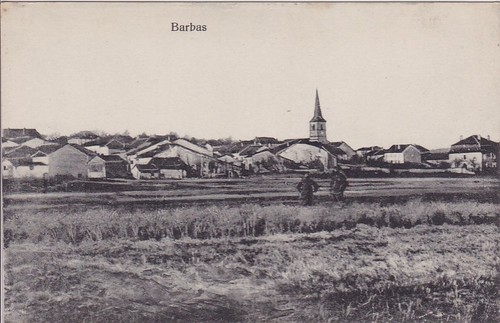 Ancienes barbas - ancienes,
