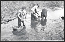 2008  --  PECHE A L ETANG A