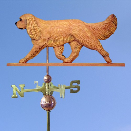 Cavalier king charles - cavalier, spaniel