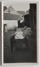 Infant 2 months, home yard chair, stuffed dog - old photo snapshot