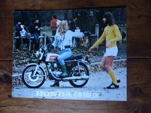 Prospectus catalogue brochure - prospectus,