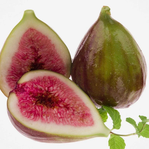 Ficus carica précoce de - carica,
