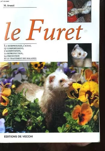 Furet m avanzi - le, furet,