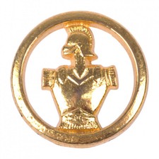 PIN'S DU GENIE REDUCTION CALOT