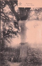 76 BONSECOURS LE VIEUX CHENE