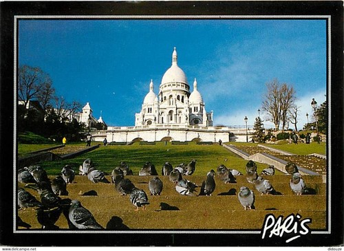 Carte postale animaux - postale,