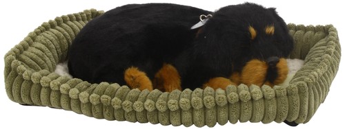 4916 peluche chien - -,