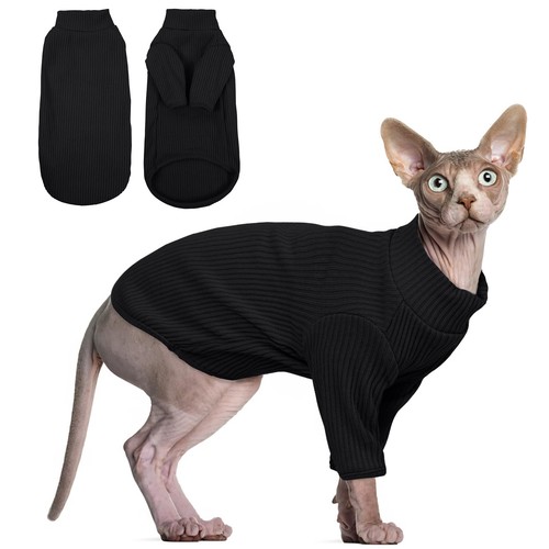 Pull chat sphynx - chat, vêtements