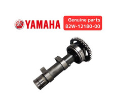 Ensemble arbre à cames