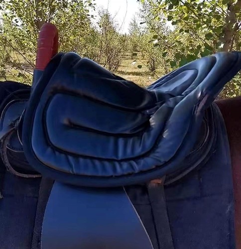 Western horse saddle - western,