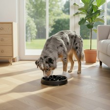 Gamelle anti-glouton – antidérapante avec 5 pieds en gomme, tailles au choix