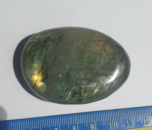 Pierre palmier labradorite - palmier,