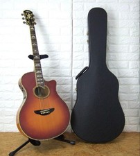 Guitare électrique acoustique