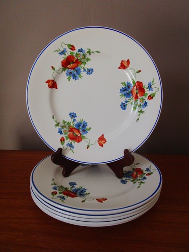 Assiettes plates cm - assiettes,