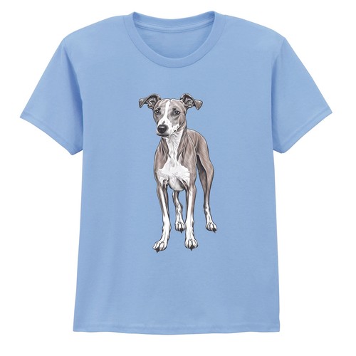 Whippet dog animals whippets - animals,