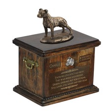 Amstaff Terrier Hundebild Et