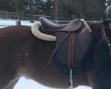 Henri De Rivel Regular Advantage All Purpose Saddle