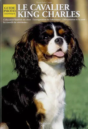 Cavalier king charles - le,