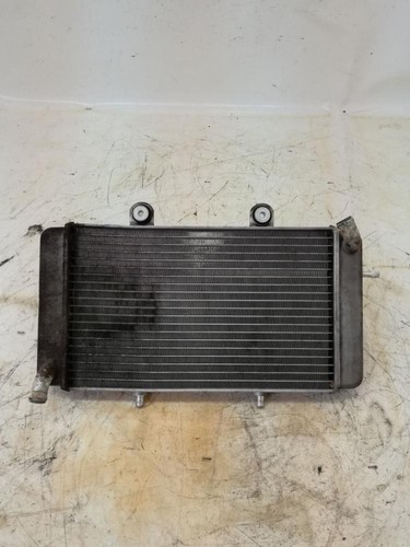 Radiateur eau pour aprilia - radiateur,