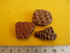 Fragments de Poterie de la