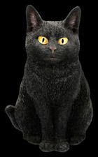 Figurine de Jardin Chat - Ombre Noir Kater - Schusetiger Déco - Hauteur 28,5 CM