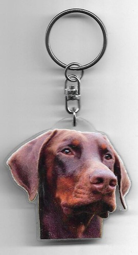 Dobermann porte clés chien - porte,