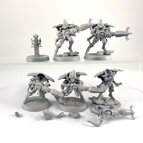 Araignées spectrales - x5,