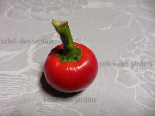 Lot graines de - de,