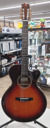 Guitare acoustique électrique