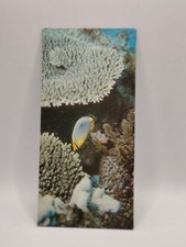 Nestlé WONDERS OF THE WORLD Map No. 162 "Corals"