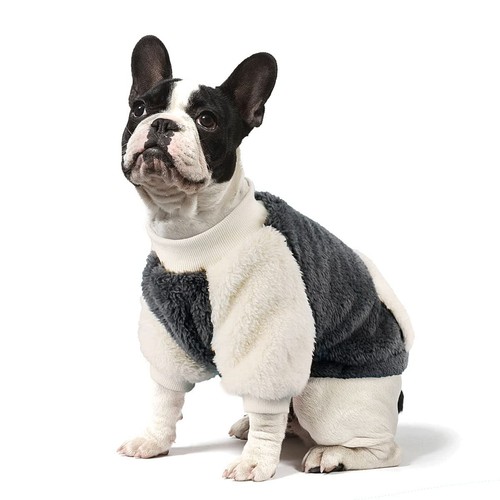 Pull hiver pour petit chien - pull,