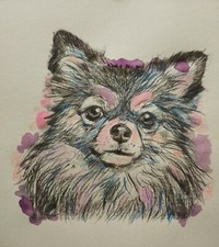 Tableau dessin Chien Chiwawa mignon Chihuahua 21x19cm/feuille signé S.D