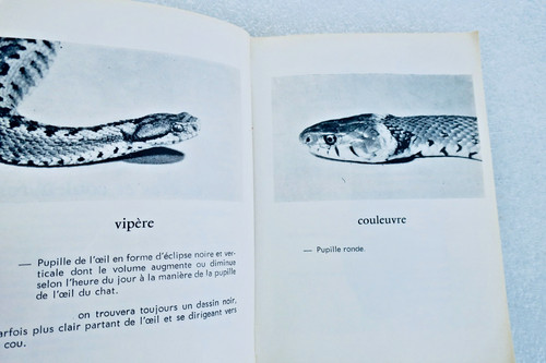 Serpent dumont andré mes - serpent,